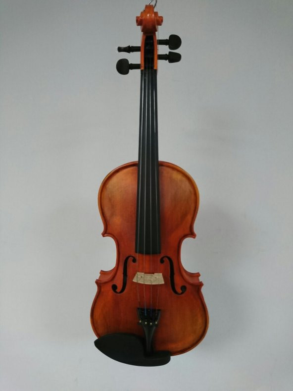 VALENCIA V16044MAT KEMAN, SCALE 4/4, MAT, KLAVYE KARARTILMIŞ AKÇAA VALENCIA, V16044MAT, KEMAN, KUTUSU VE YAYI İLE BİRLİKTE, MAT FİNİSAJ ürün görseli 1