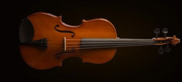 VALENCIA VA16040 VİOLA KUTULU 15 5"(40cm) Viola Sunburst Kutulu 15 5"(40cm)  ürün görseli 1