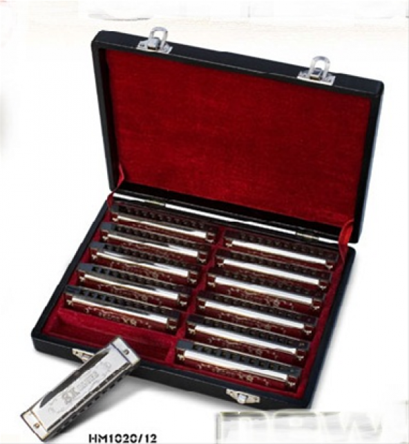 VALENCIA HM1020-12 MIZIKA SET 12' Lİ MIZIKA SET 12 Lİ:  ürün görseli 1