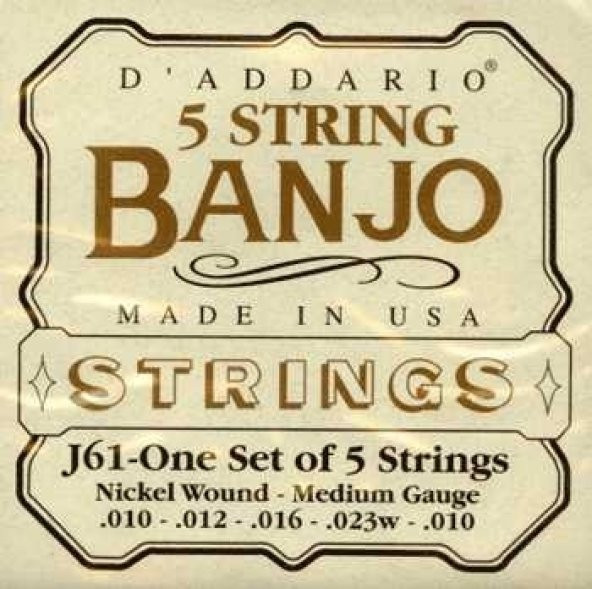 DADDARIO J61 BANJO TEL SETİ, NICKEL WOUND, MEDIUM GAUGE, (0.010     ürün görseli 1