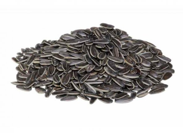 Tarım Kredi Kavrulmuş Siyah Ay Çekirdeği Az Tuzlu 500 Gr ürün görseli 1