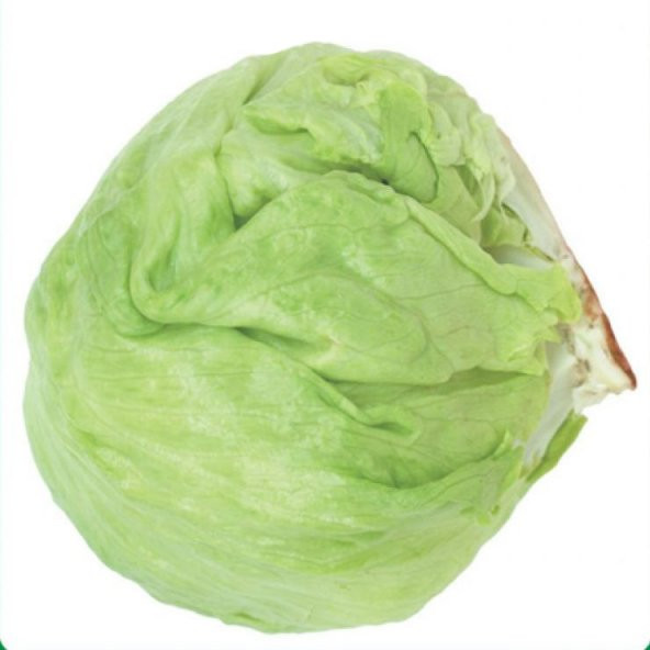 MARUL Tohumu ICEBERG 3 gram ürün görseli 1