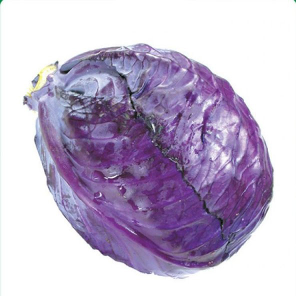 KIRMIZI LAHANA Tohumu Yerli 5 gram ürün görseli 1