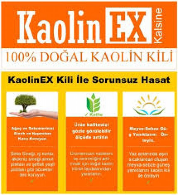 KAOLİNEX KAOLİN KİLİ - Resim 2