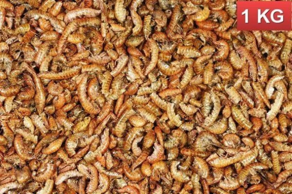 Rotifish Kurutulmuş Gammarus ( Karides ) Kaplumbağa ve Balık Yemi 1 Kg ürün görseli 1
