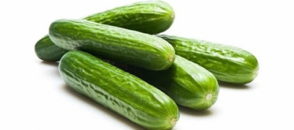 SALATALIK 5 KİLO TOPLAM FİYAT ürün görseli 1