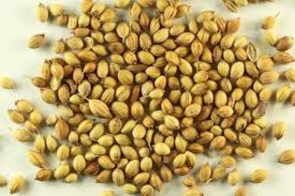 KİŞNİŞ 250GR ürün görseli 1