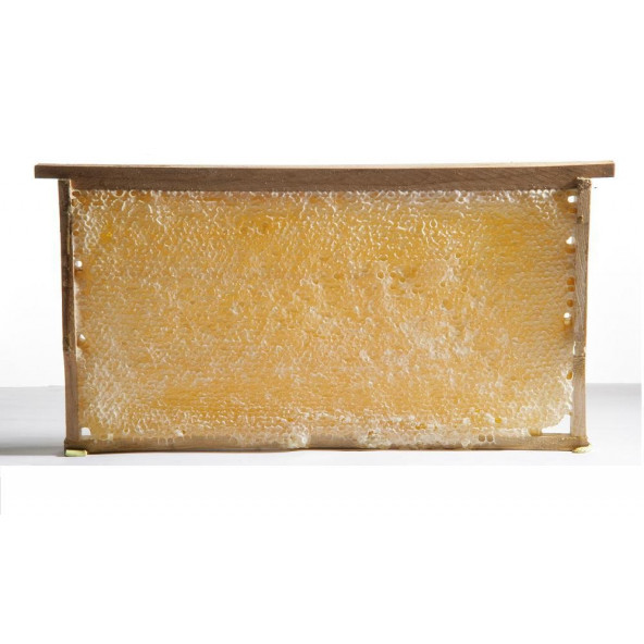 Doğal Petek Çiçek Balı 2 Kg. ürün görseli 1