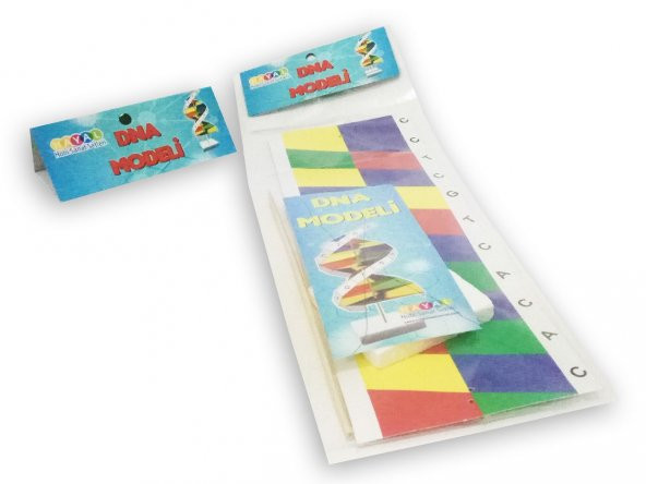 Hayal Dna Sarmalı Modeli - Resim 2