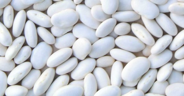 YERLİ KURU FASULYE 3 KG ürün görseli 1