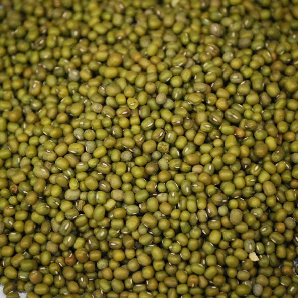 MAŞ FASULYESİ 1 KG ürün görseli 1