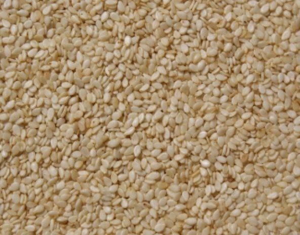 Yerli Beyaz Susam  1 KG ürün görseli 1