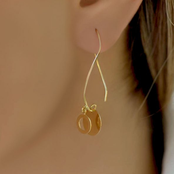 14k Sallantılı Sarı Altın Küpe - Resim 3