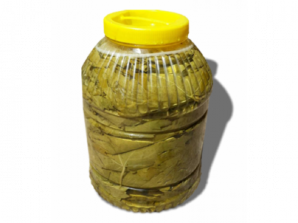 Yeni MahsülTaze Salamura Yaprak ince yaprak 5 kg luk pedbidonlarda ürün görseli 1