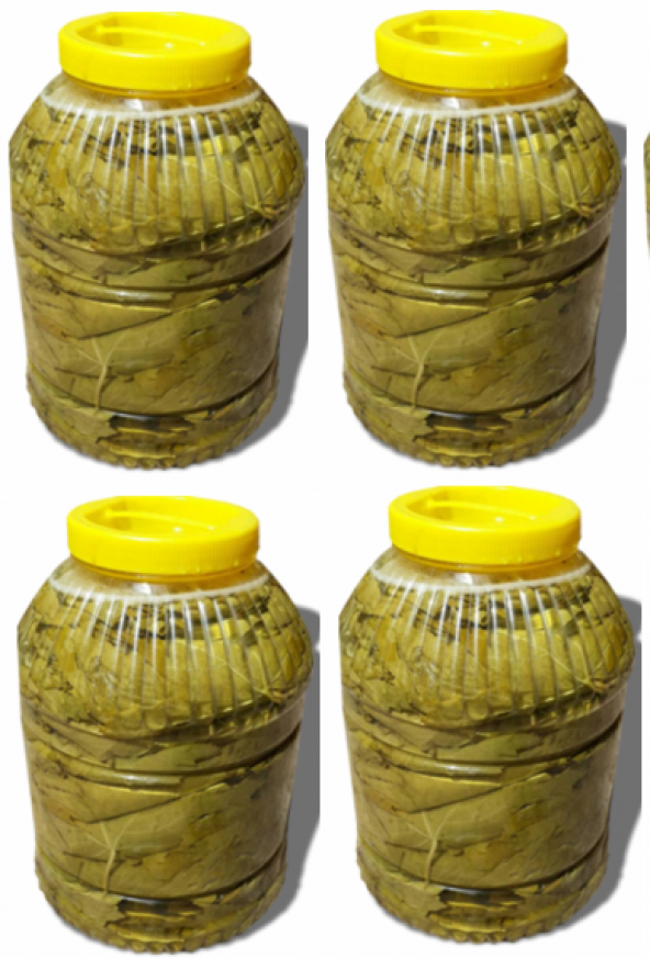 Yeni MahsülTaze Salamura Yaprak 5 kg luk pedbidonlarda 4 lü set top:4 ped ürün görseli 1