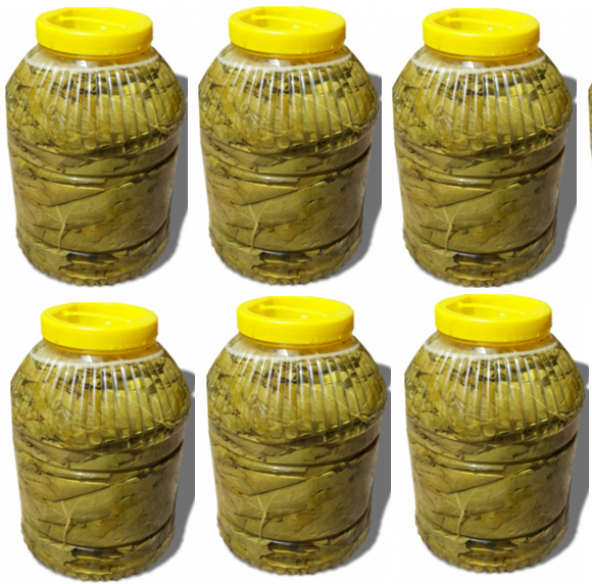 Yeni MahsülTaze Salamura Yaprak 5 kg luk pedbidonlarda 6 lı set ürün görseli 1