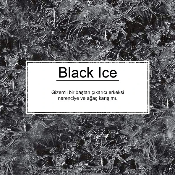 Little Trees 3'lü Set Black Ice / Bubble Gum / Midnight Chic Asma - Resim 3