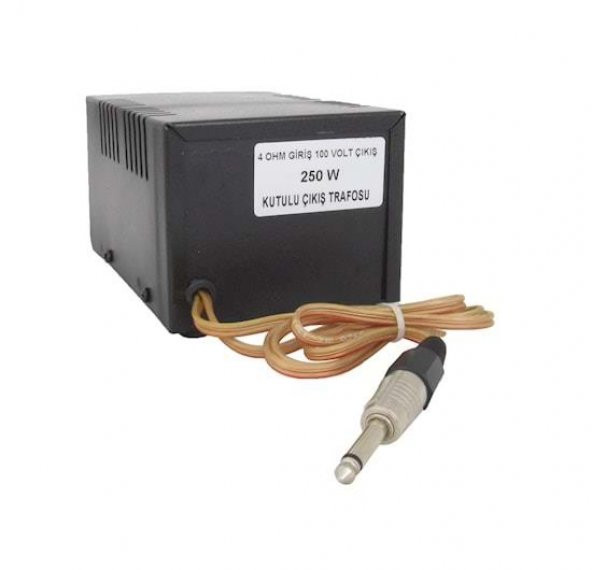 Alpa 100W Anfi  Çıkış Trafosu ürün görseli 1