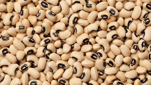 BÖRÜLCE 1 KG ürün görseli 1