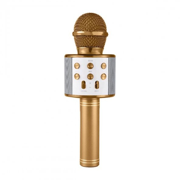 Karaoke Mikrofon WS-858 - Resim 2