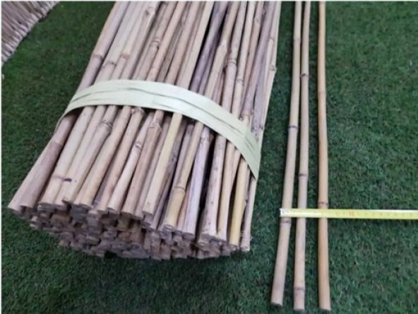 BAMBU BİTKİ DESTEK ÇUBUĞU 180 CM  (5 ADET) - Resim 3