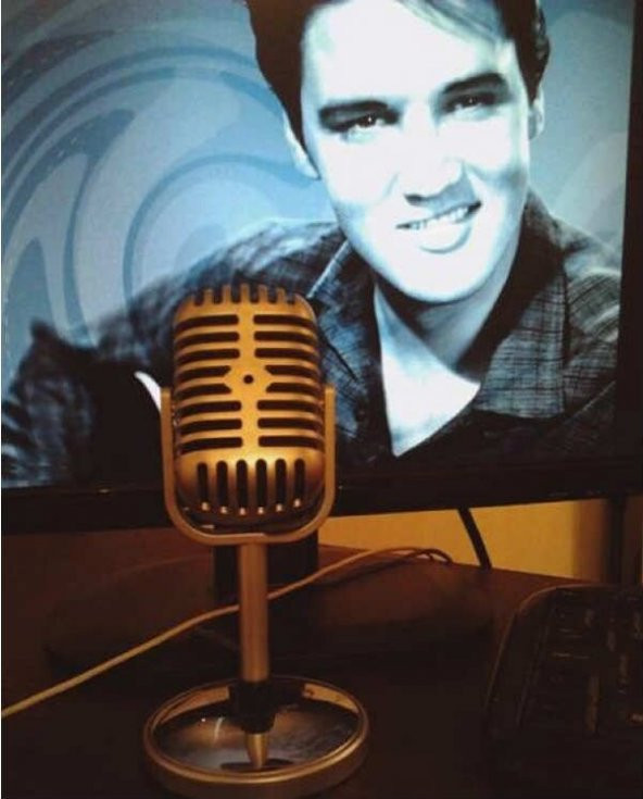 Nostaljik Görünümlü Karaoke Mikrofon - Resim 3