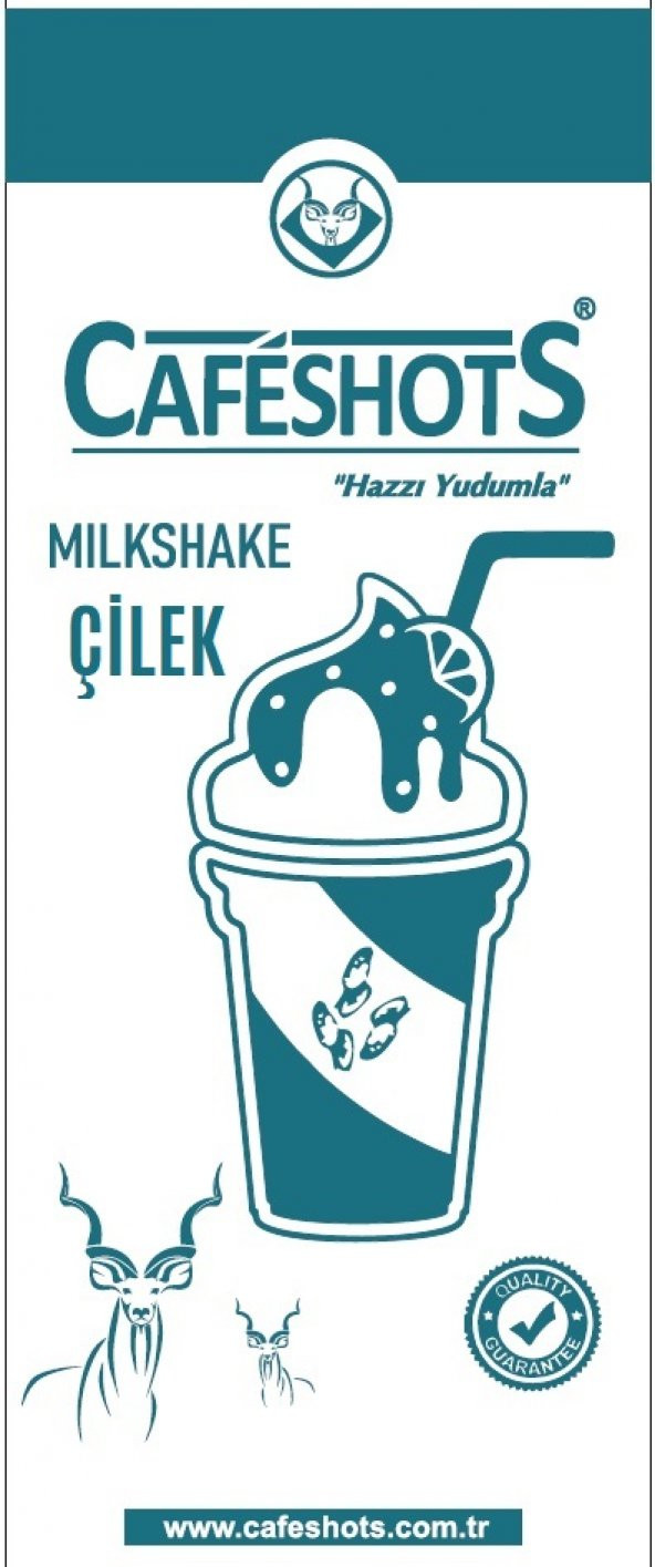 CAFESHOTS MİLKSHAKE ÇİLEK 1000 GR - Resim 2