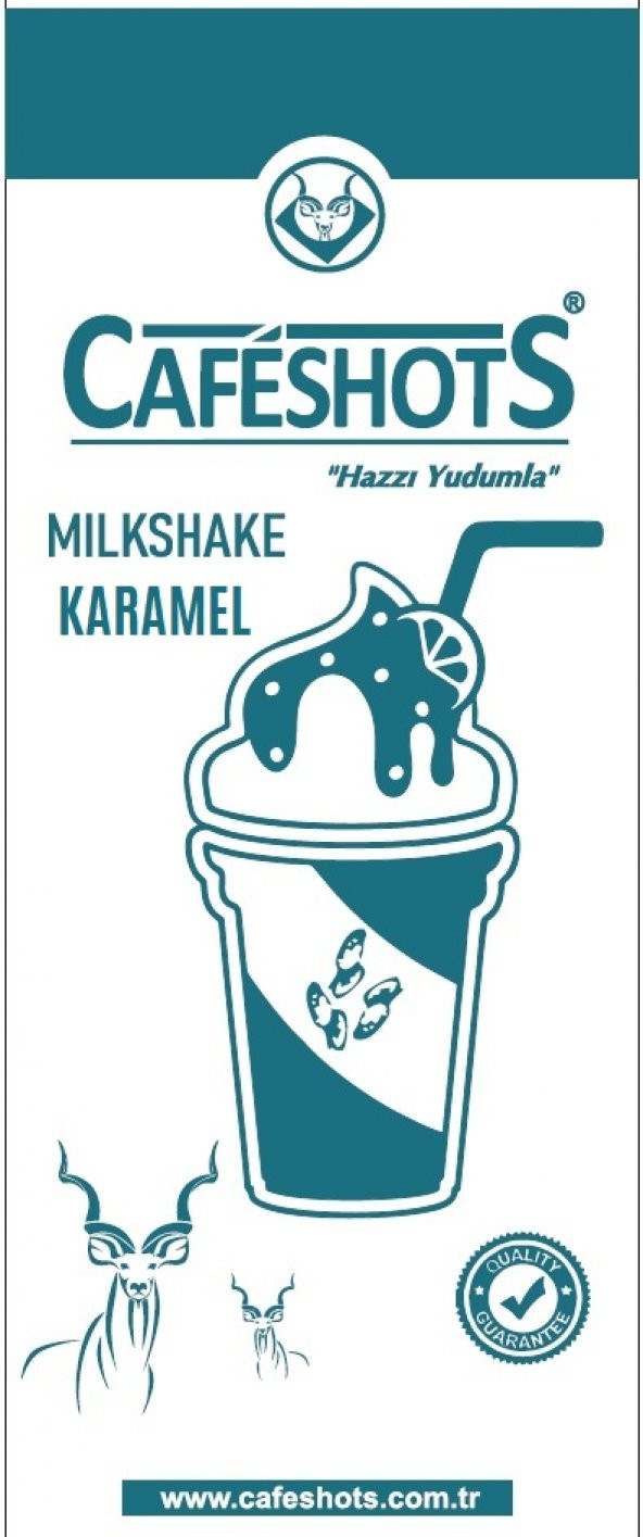 CAFESHOTS MİLKSHAKE KARAMEL 1000 GR - Resim 2