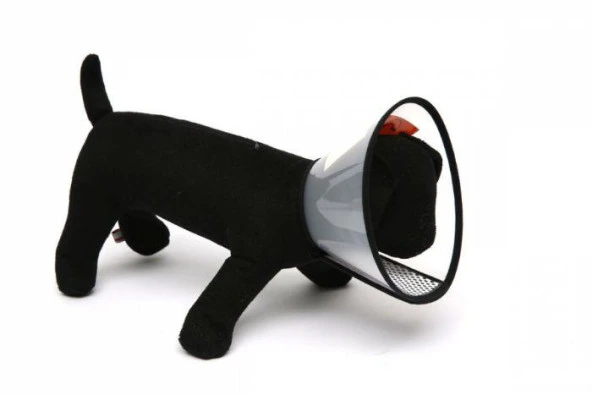 Nunbell Elizabeth Yakalık 2XS Boynu 15-17cm Olan Köpekler /11cm Genişlik ürün görseli 1