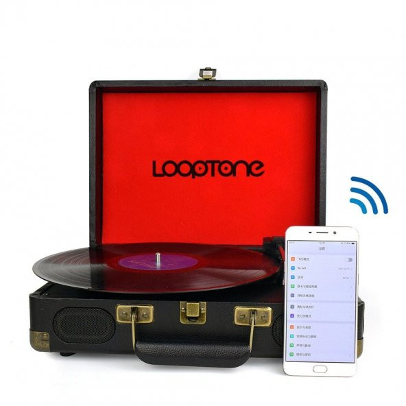 Looptone DS-101 BT Çantalı Pikap - Resim 3