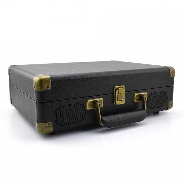 Looptone DS-101 BT Çantalı Pikap - Resim 5