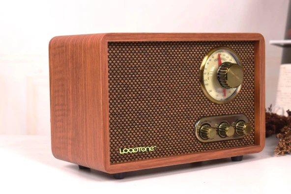 Looptone DSY-R08 Retro Radyo Ceviz - Resim 3