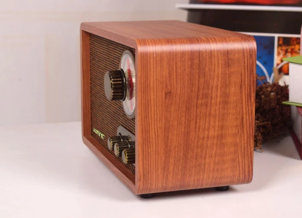 Looptone DSY-R08 Retro Radyo Ceviz - Resim 5