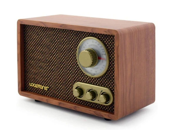 Looptone DSY-R08 Retro Radyo Ceviz - Resim 2
