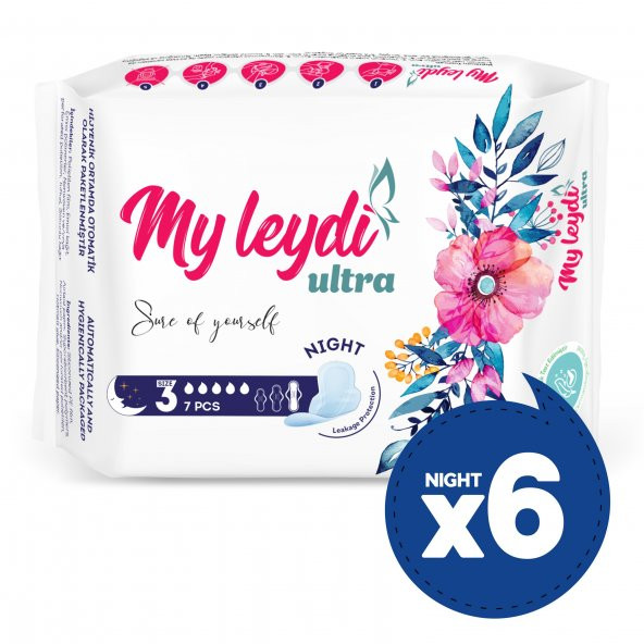 MYLEYDİ ULTRA HİJYENİK PED GECE 42 ADET (6 PAKET ) ürün görseli 1