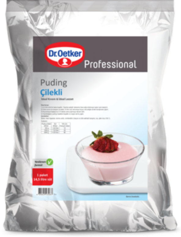 DR OETKER PUDİNG ÇİLEK 3 KG ürün görseli 1
