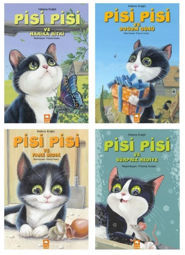 Eksik Parça Pisi Pisi Seti 4 Kitap ürün görseli 1