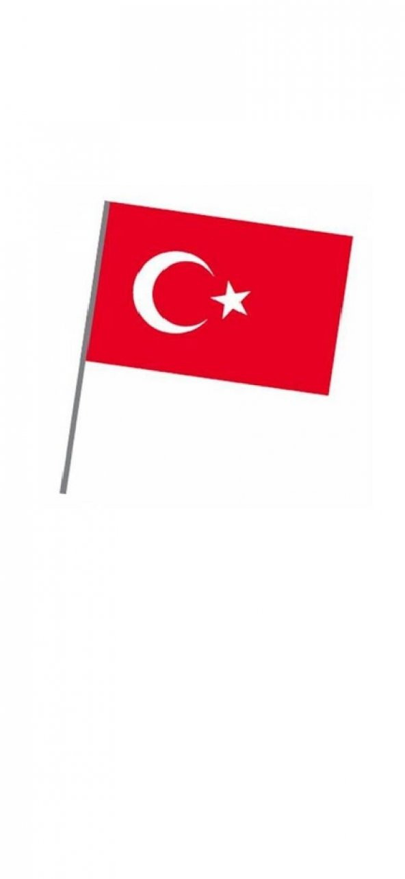 Sopalı Türk Bayrağı 20x30cm. - Resim 3