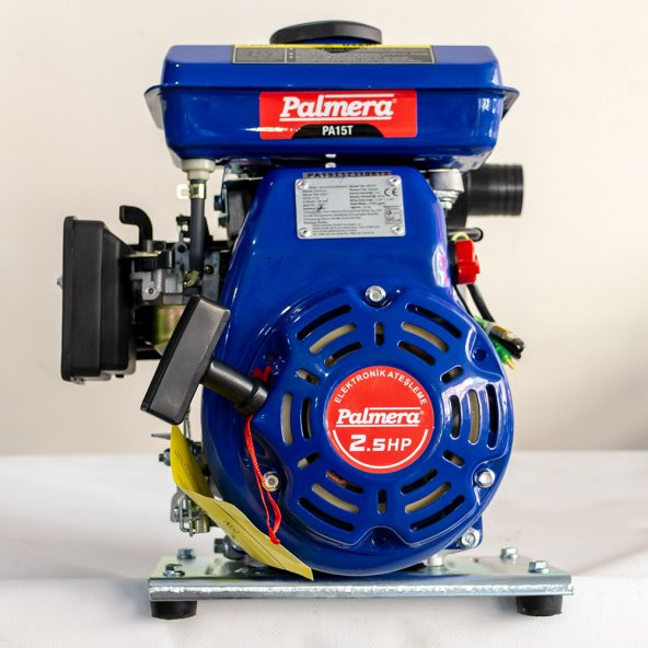 Palmera PA15T 1.5luk Su Motoru - 2,5 Hp ürün görseli 1