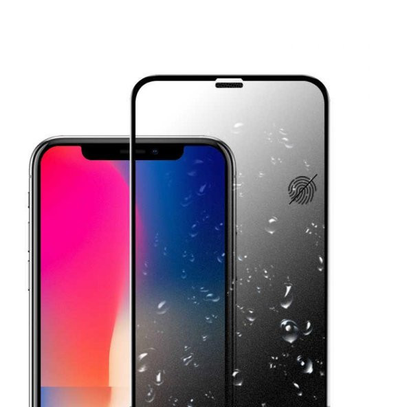 Apple iPhone XS 5.8  Evastore Anti-Dust Mat Privacy Temperli Ekran Koruyucu ürün görseli 1