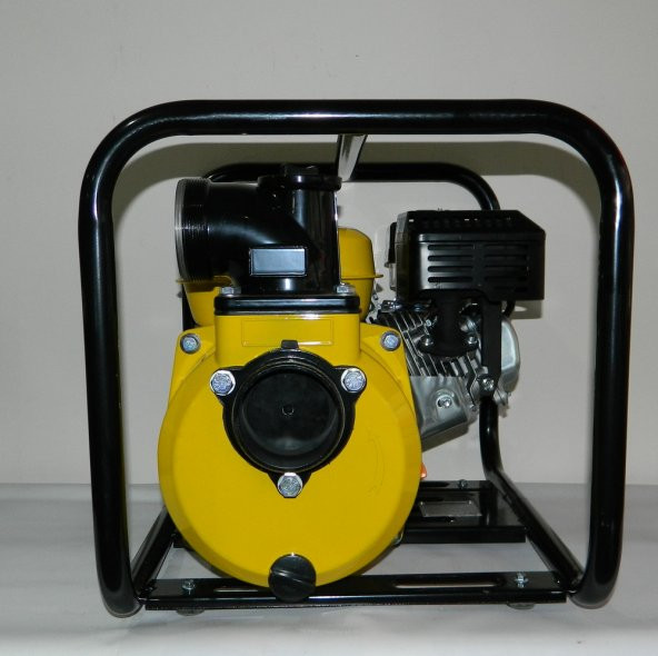 Datsu Dbp 30 Benzinli Su Motoru 3lük - Resim 2