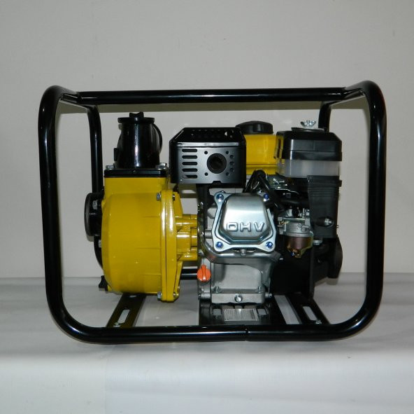 Datsu Dbp 30 Benzinli Su Motoru 3lük - Resim 3