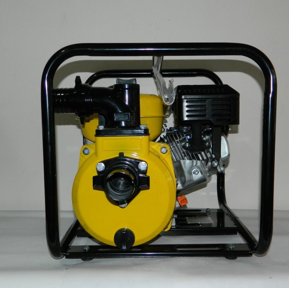 Datsu DBP 20 Benzinli Su Motoru 2 lik - Resim 4