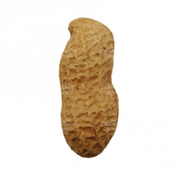 Kabuklu Yer Fıstığı 250 G - Resim 2