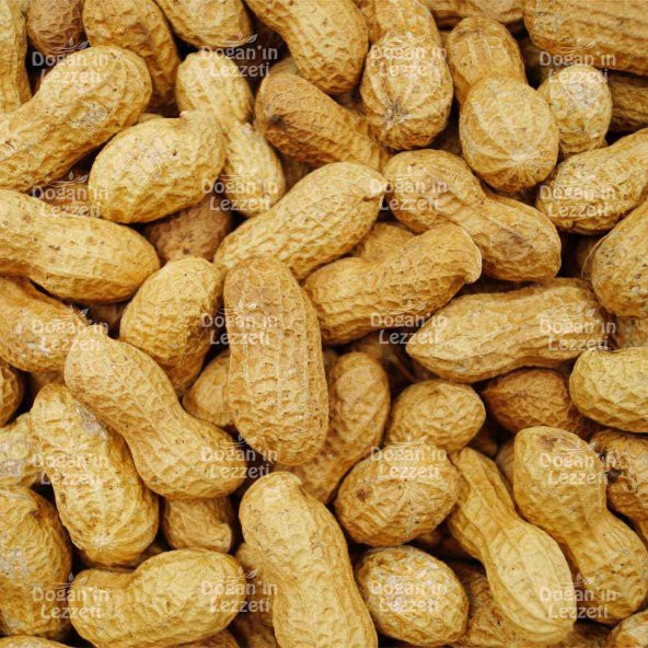 Kabuklu Yer Fıstığı 1 KG - Resim 8