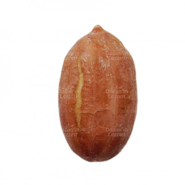 Yer Fıstığı 500 G - Resim 2
