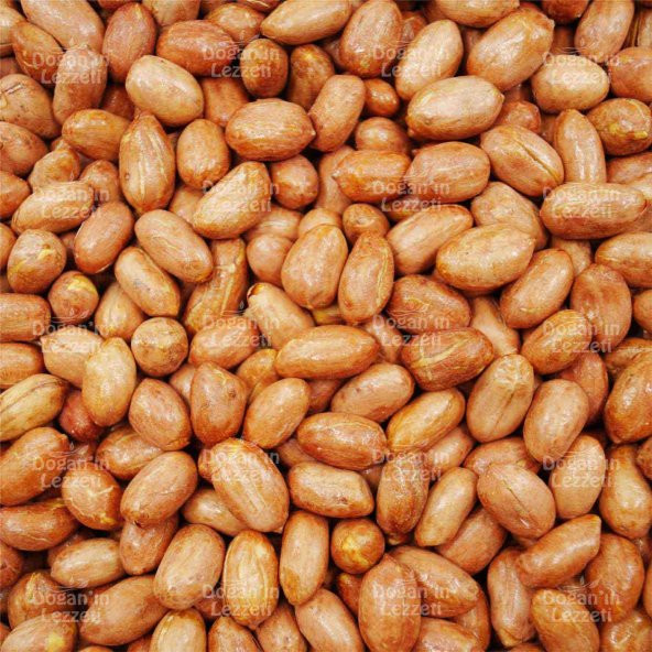 Yer Fıstığı 1 KG - Resim 8