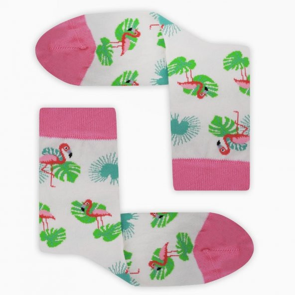 Colorcool Kadın Çorap Flamingo - Resim 7