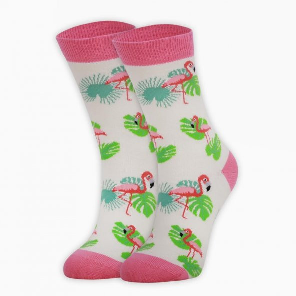 Colorcool Kadın Çorap Flamingo - Resim 8
