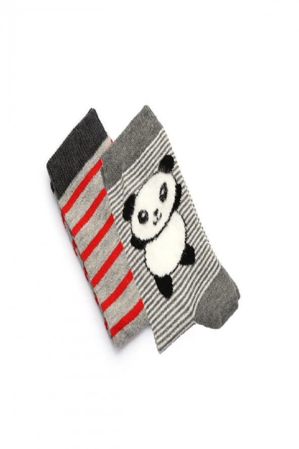 2li Erkek Çocuk Asortili Panda ve Çizgili Desenli Çorap 2239-B2 ürün görseli 1